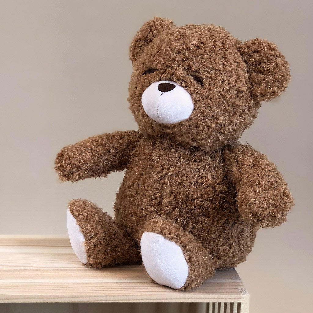 Raad Teddy bruin 28cm